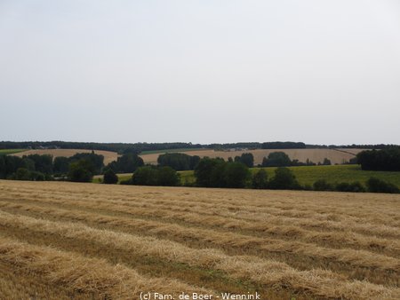 07-16 Zwemmen bij L'îlle-Bouchard